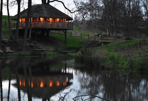 Vivianna pool reflection, Treeopia